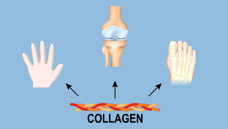 Fordele ved collagen